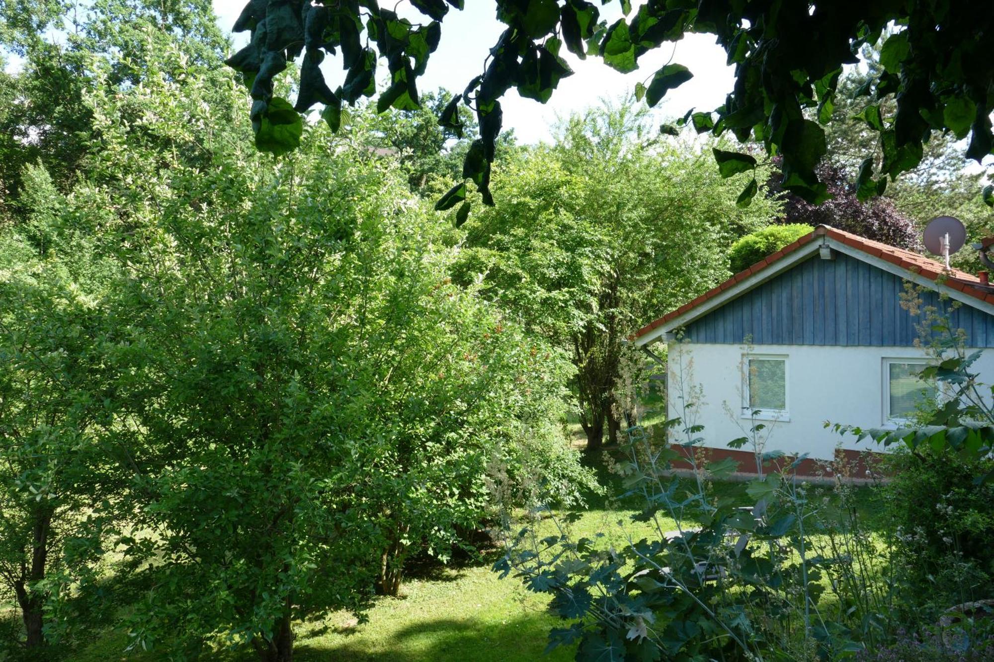 Landleben - Ferienhaus 2 Фріцлар Екстер'єр фото